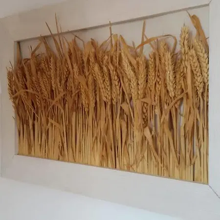 Apartament Anica & Gabriela